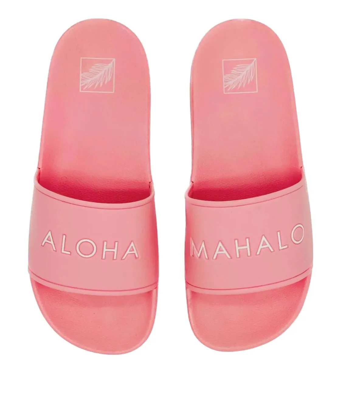ALOHA MAHALO Slides | Guava
