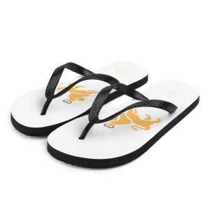 Flip-Flops