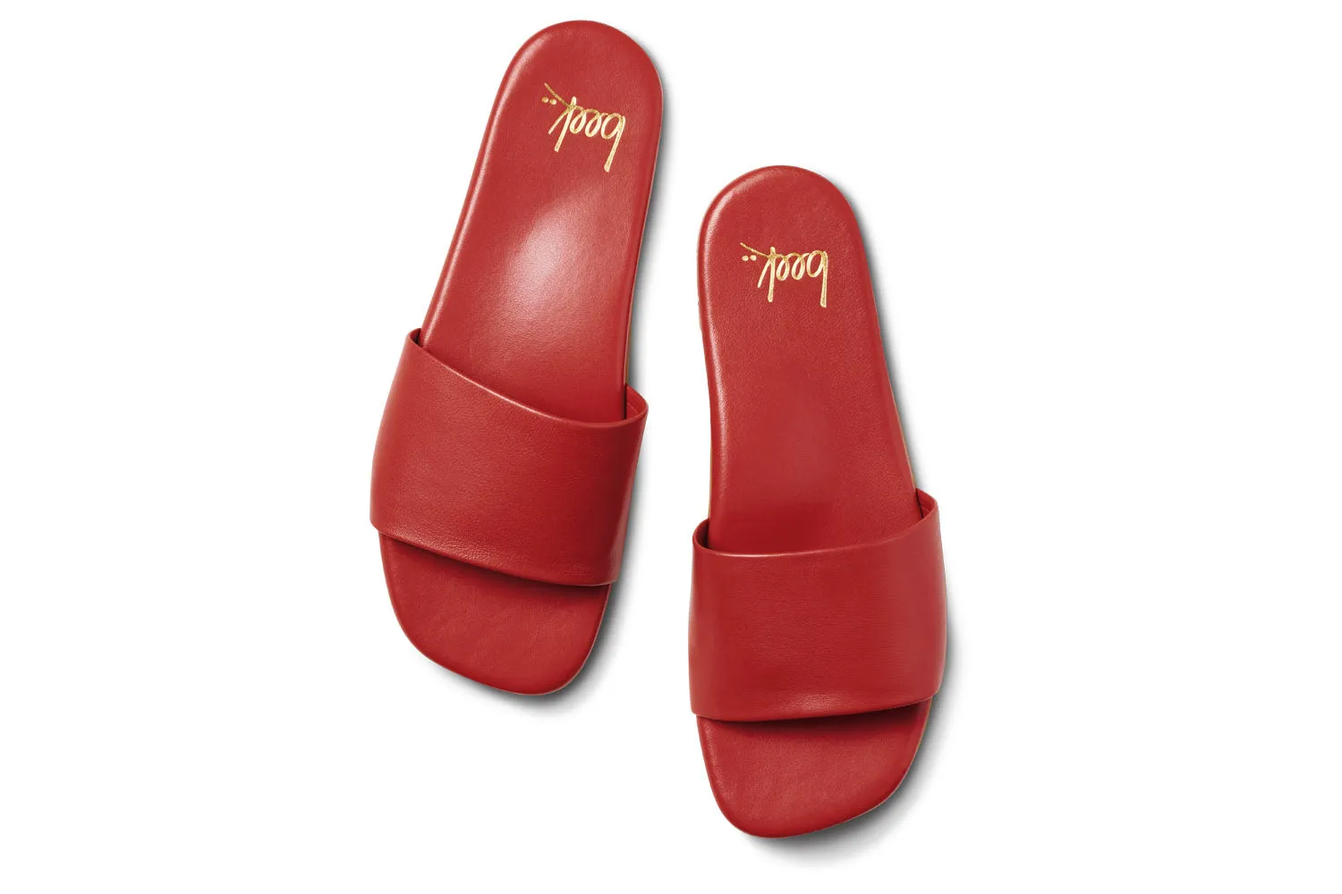HONEYBIRD - Red