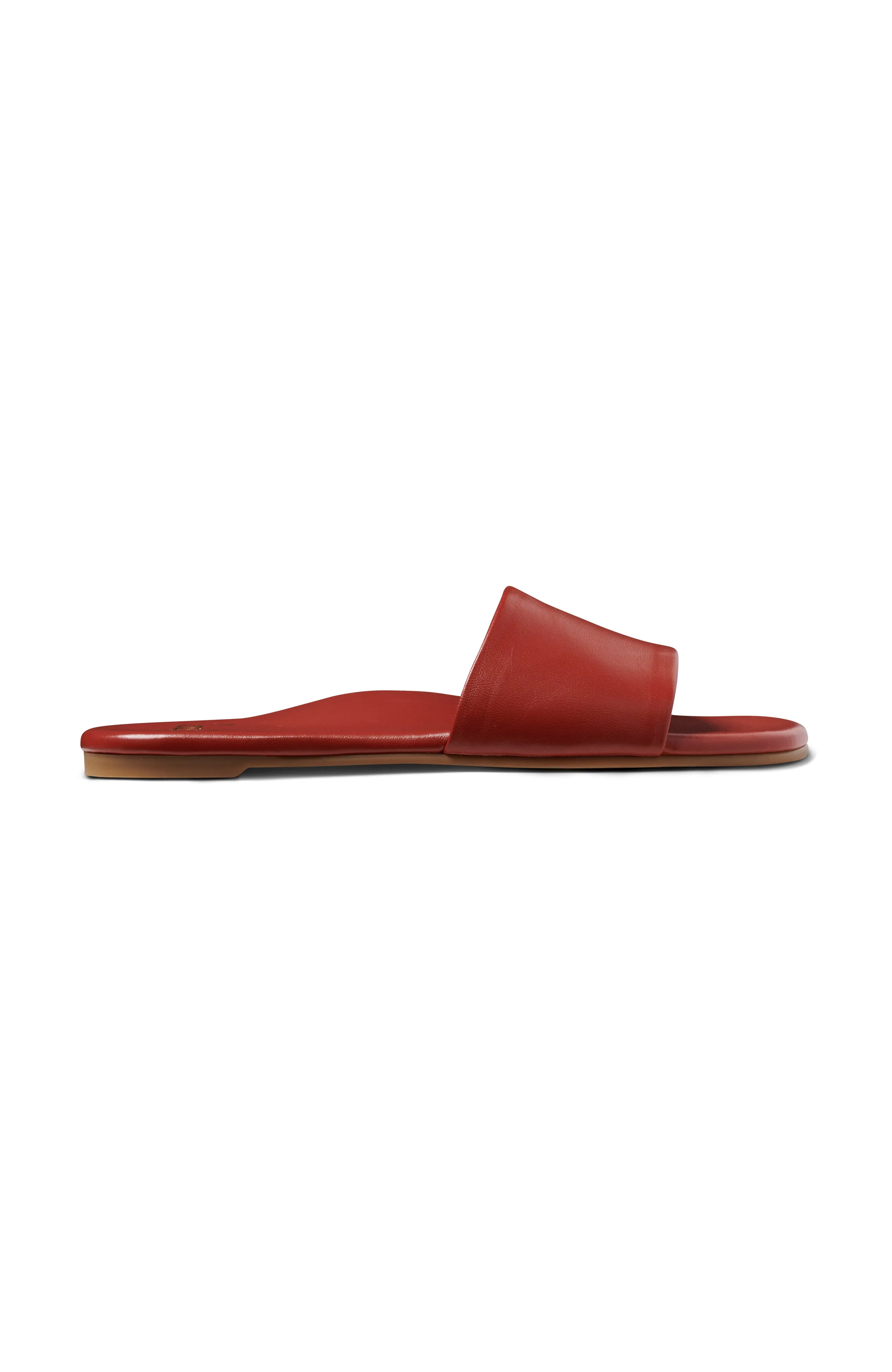 HONEYBIRD - Red