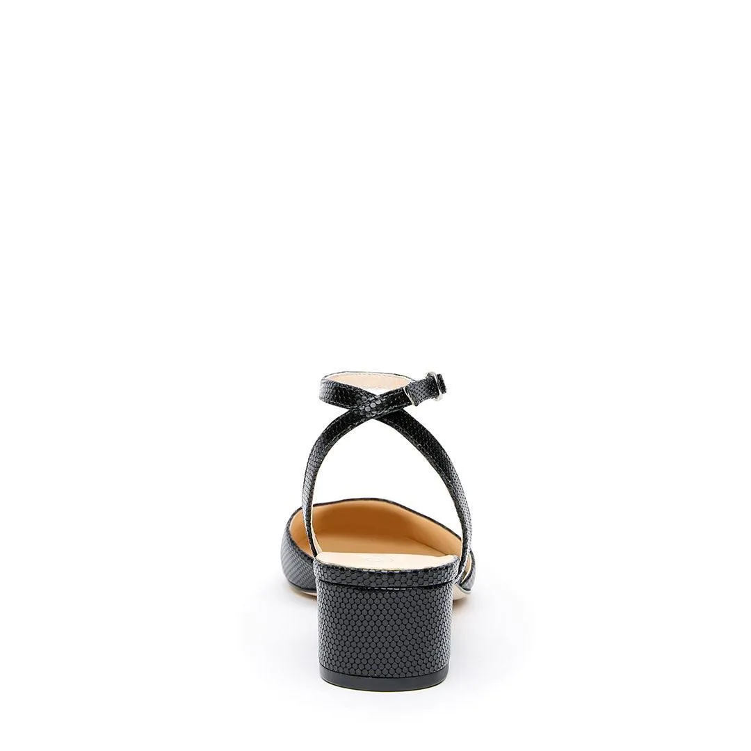 Rattlesnake Slide   Marilyn Strap