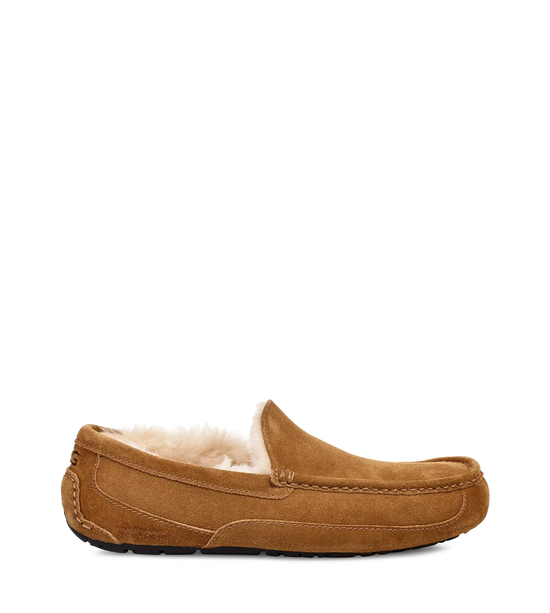 UGG Ascot