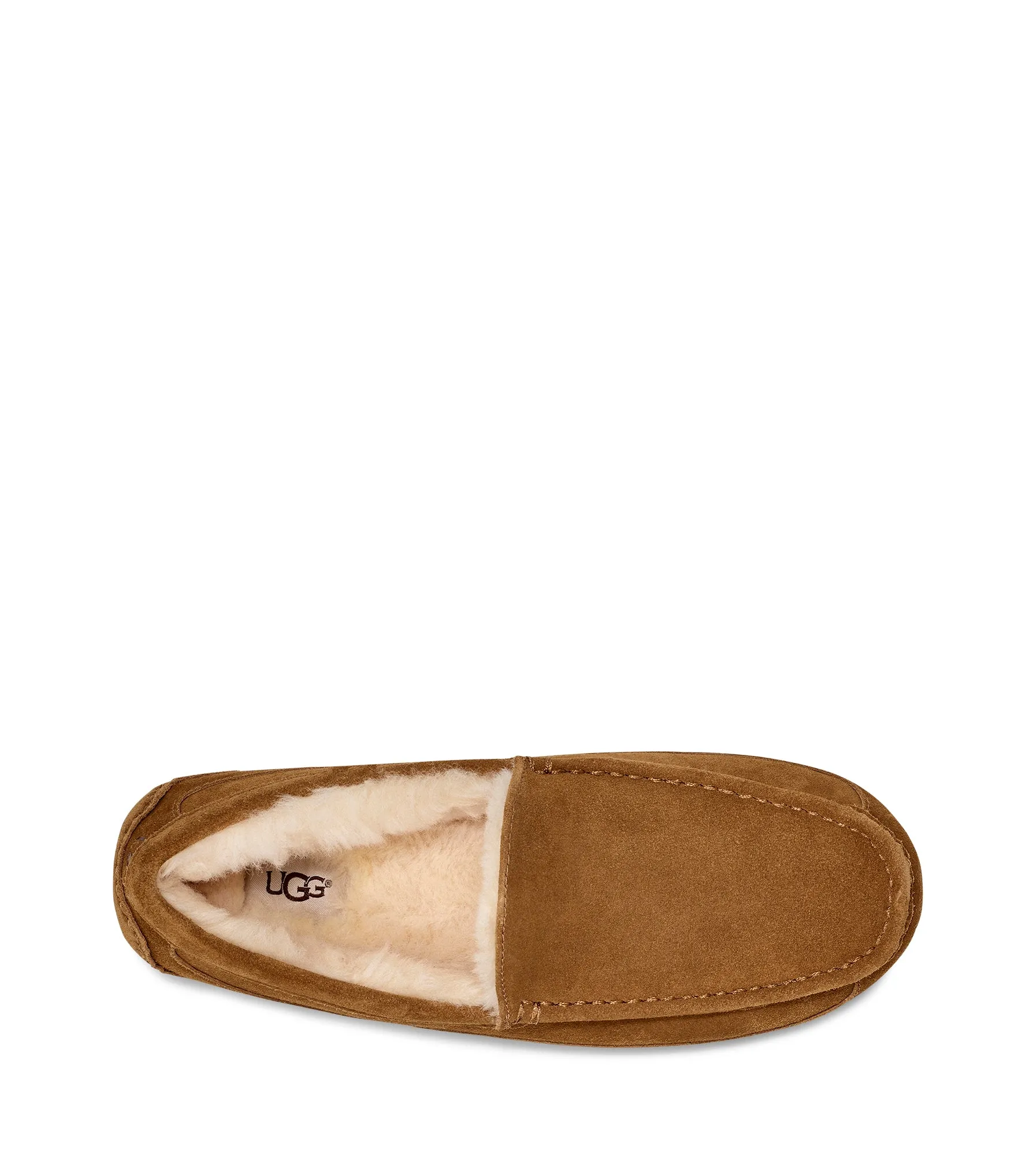 UGG Ascot