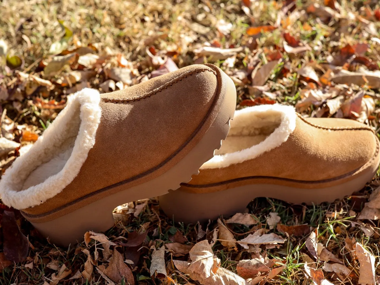 Ugg: New Heights Cozy Clog in Chestnut