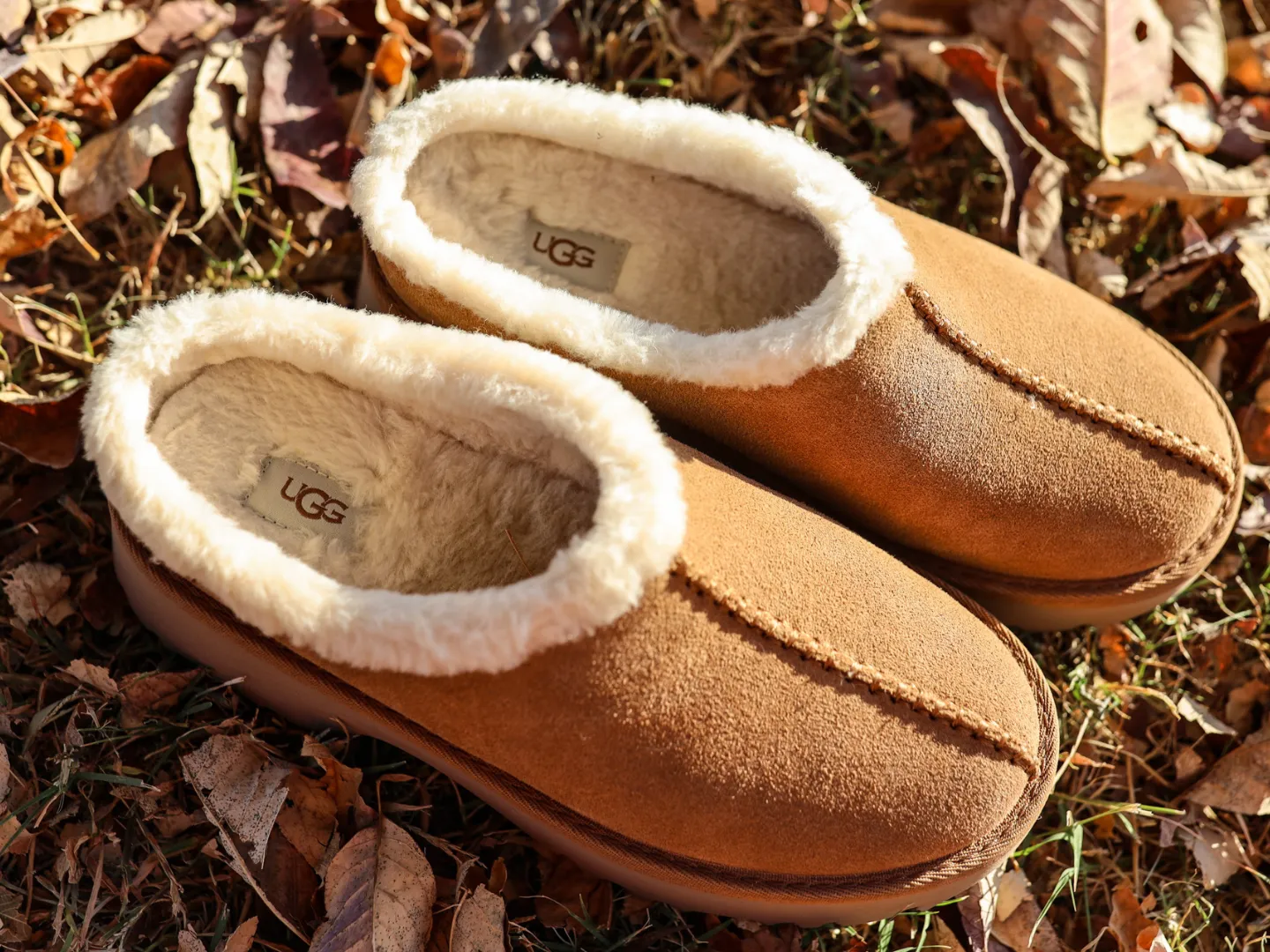 Ugg: New Heights Cozy Clog in Chestnut